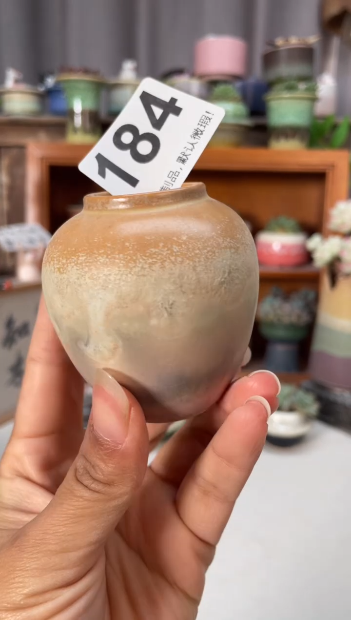 瓷片184知木小芳花盆