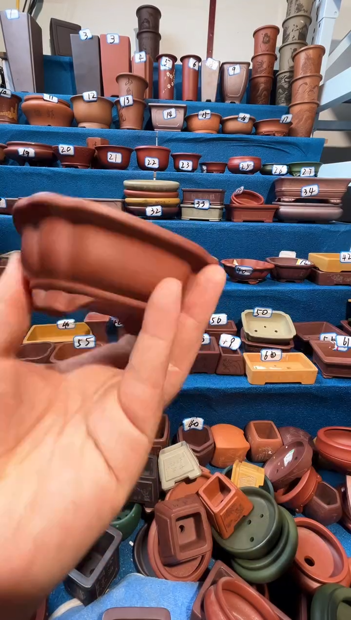 【闪购商品】紫砂紫砂花盆9.5*7.5*3