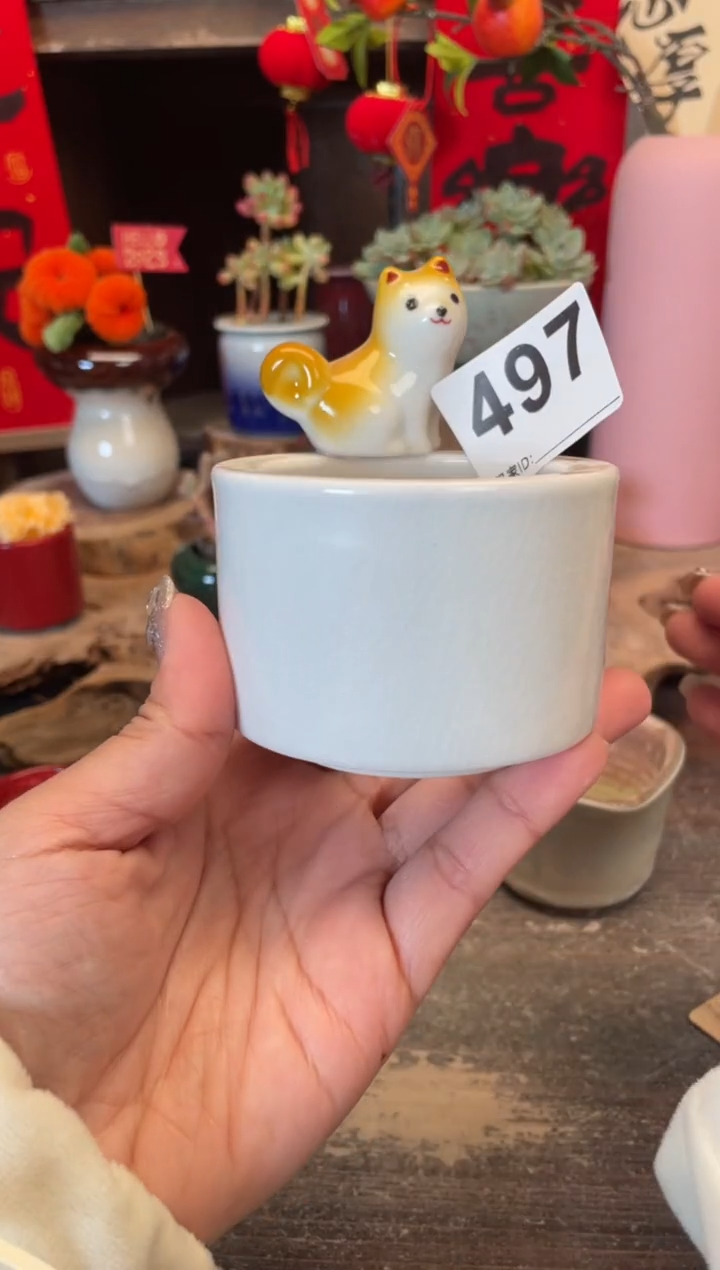 【闪购商品】摆件497福利知木小芳花盆