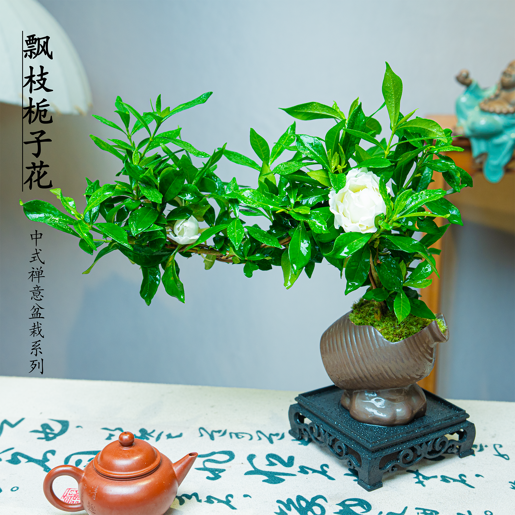 【飘枝栀子花】浓香型多季开花栀子花盆栽室内办公室好养花卉植物