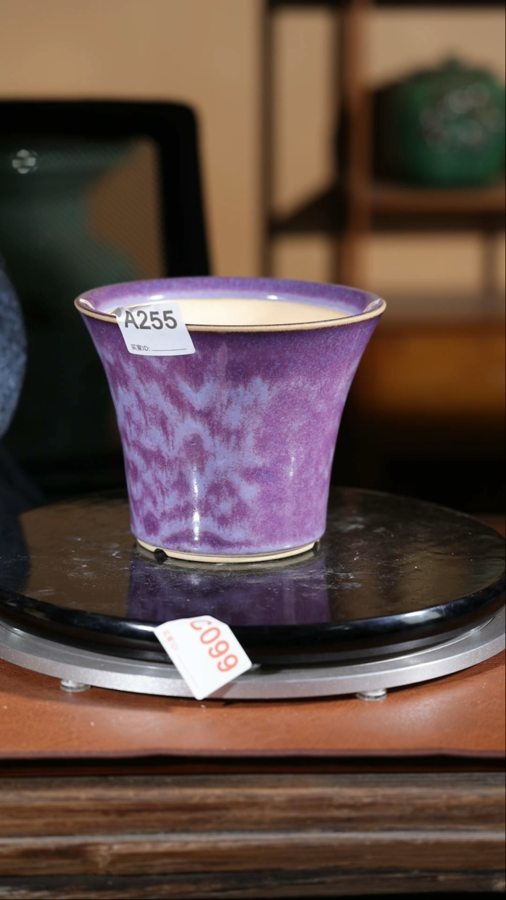 【闪购商品】红陶255