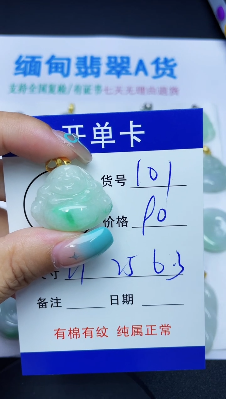 翡翠未镶嵌吊坠(赠链)101