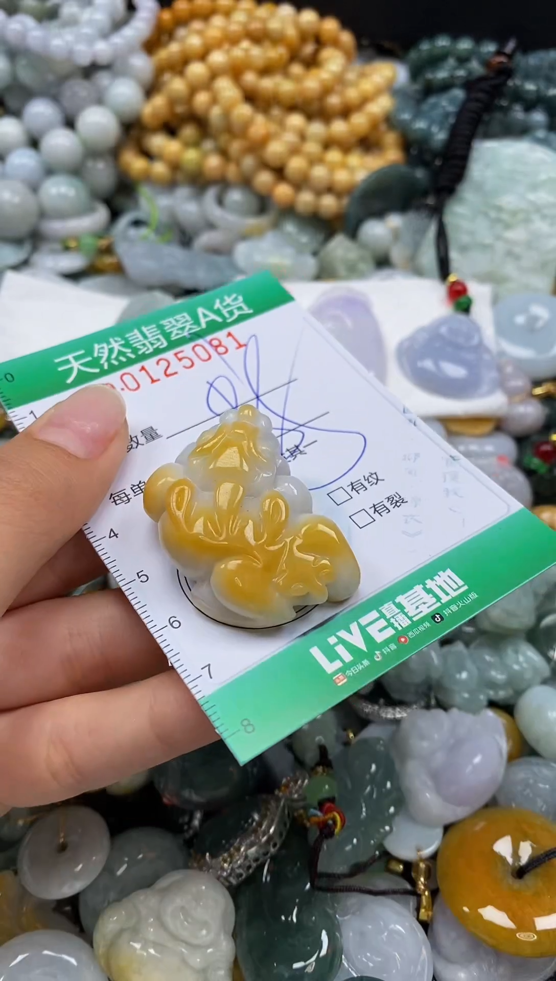 翡翠未镶嵌颈饰闪购0125081