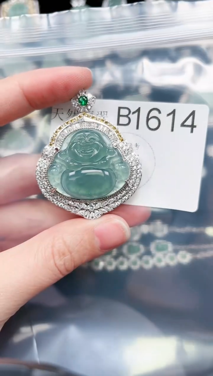 【闪购商品】翡翠颈饰未镶嵌赠皮绳1614