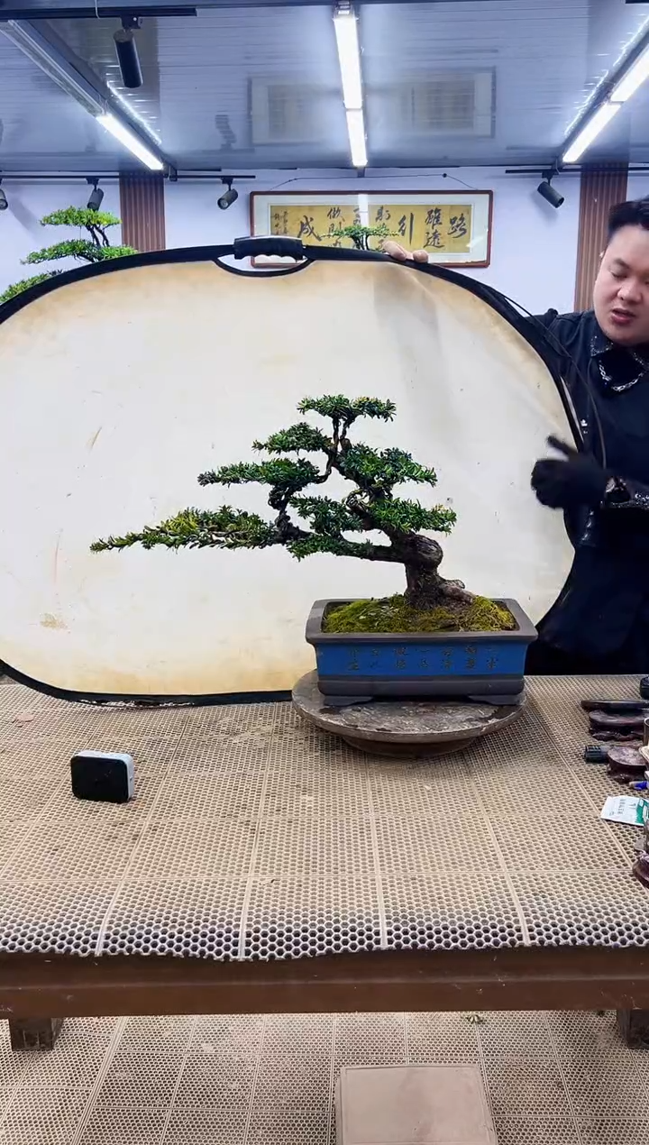 【闪购商品】000000000