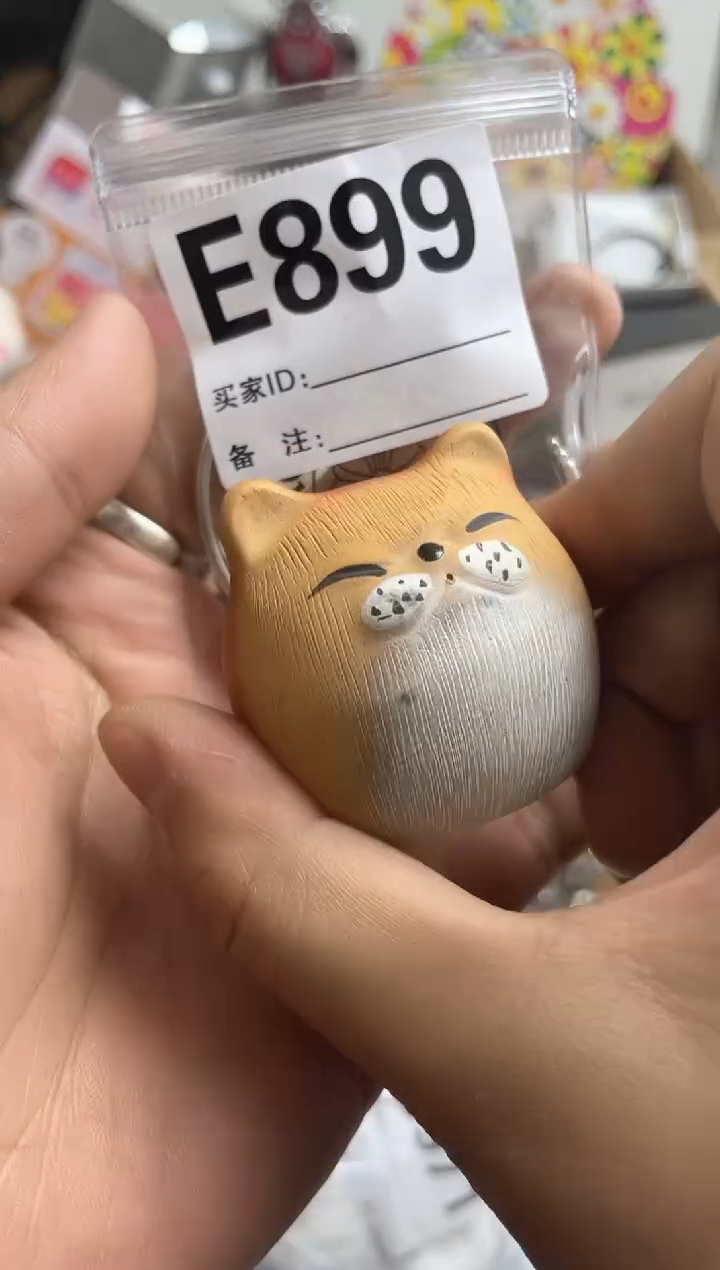 【闪购商品】瓷片E899 ++00000000000