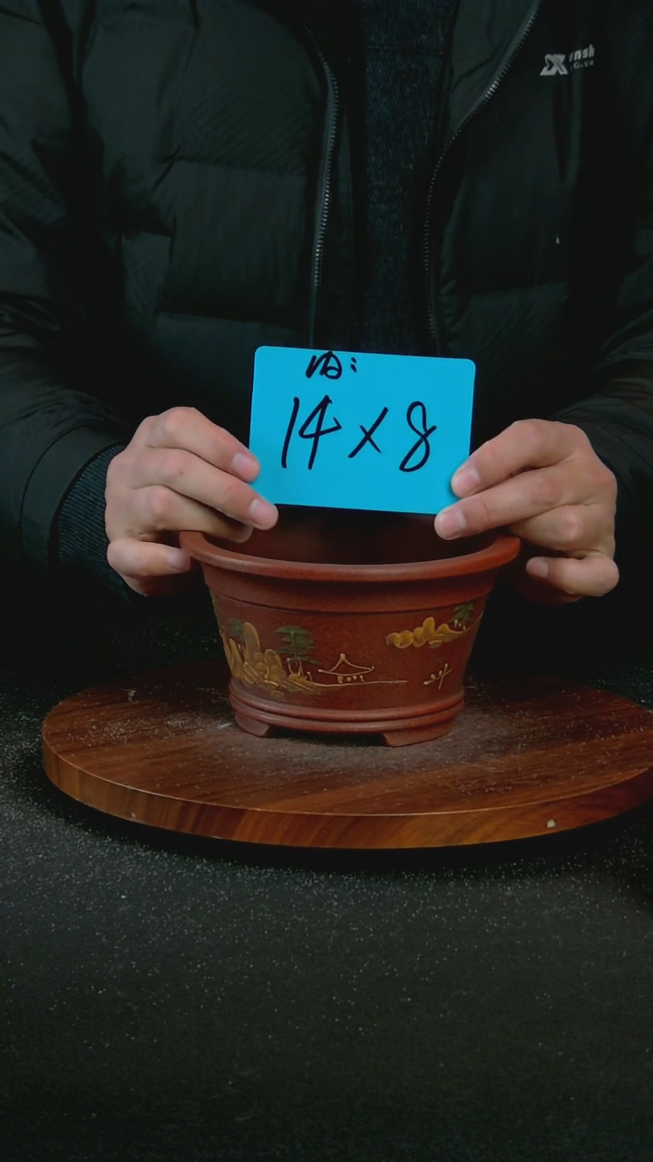 【闪购商品】紫砂C51