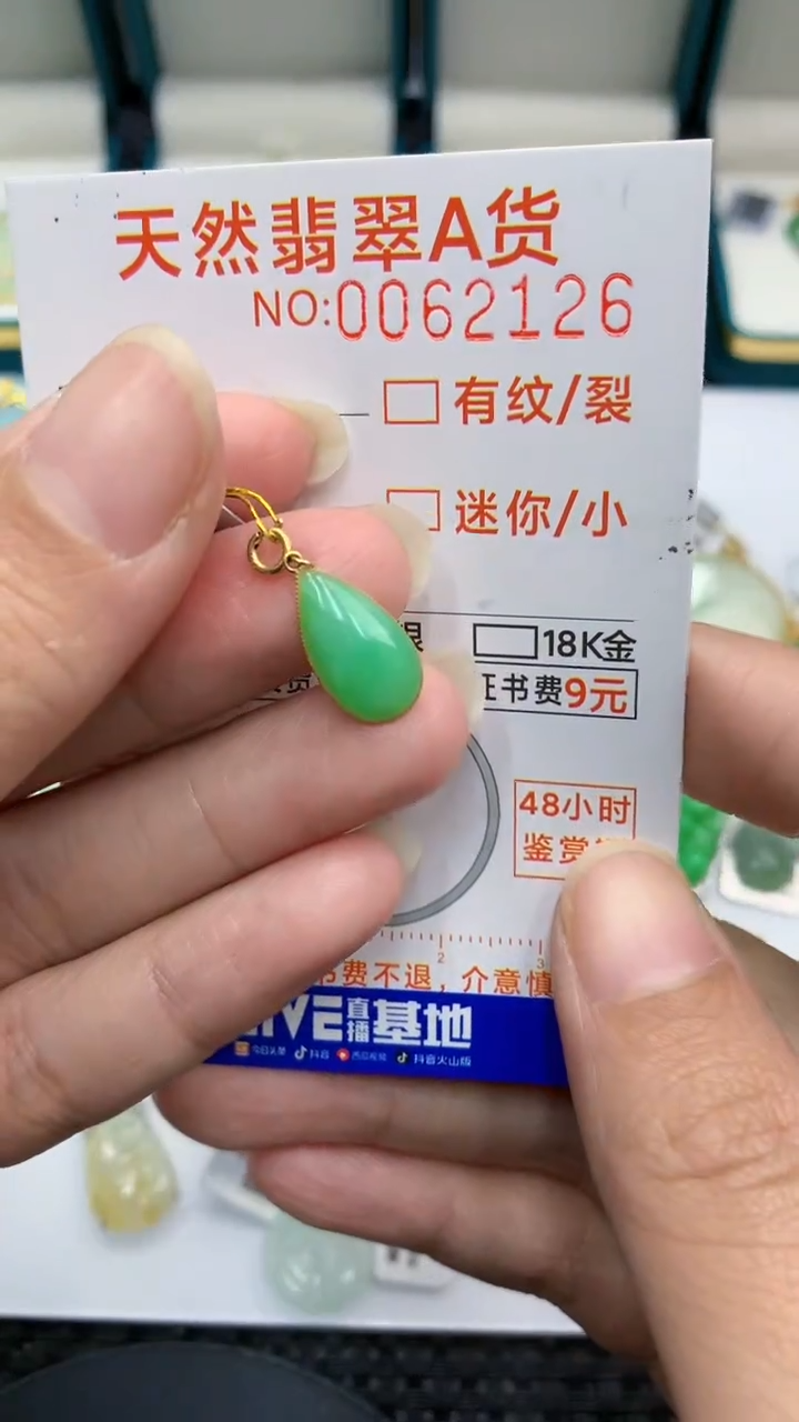 【闪购商品】翡翠颈饰18K金镶嵌            8