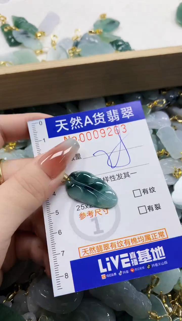 颈饰未镶嵌翡翠天然A货翡翠