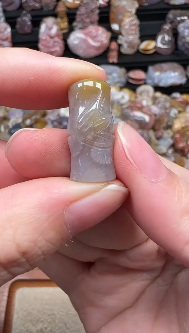 颈饰未镶嵌硅化珊瑚（珊瑚玉）316