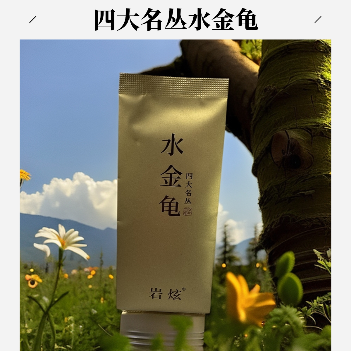 四大名丛水金龟8g