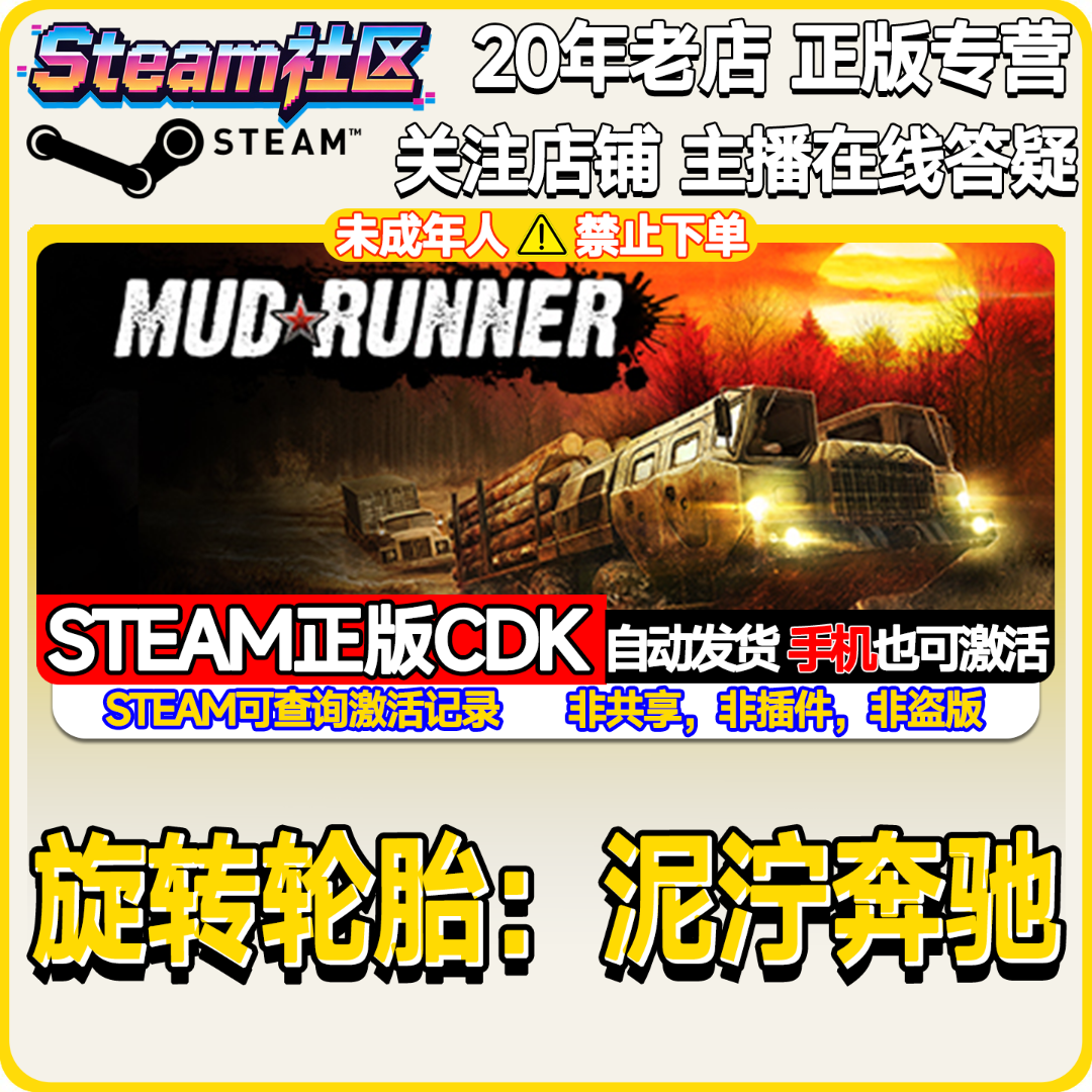 旋转轮胎：泥泞奔驰 泥泞之旅 MudRunner PC正版Steam国区CDKEY