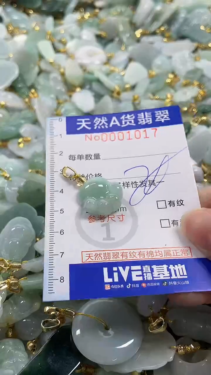 颈饰未镶嵌翡翠纯天然a货翡翠