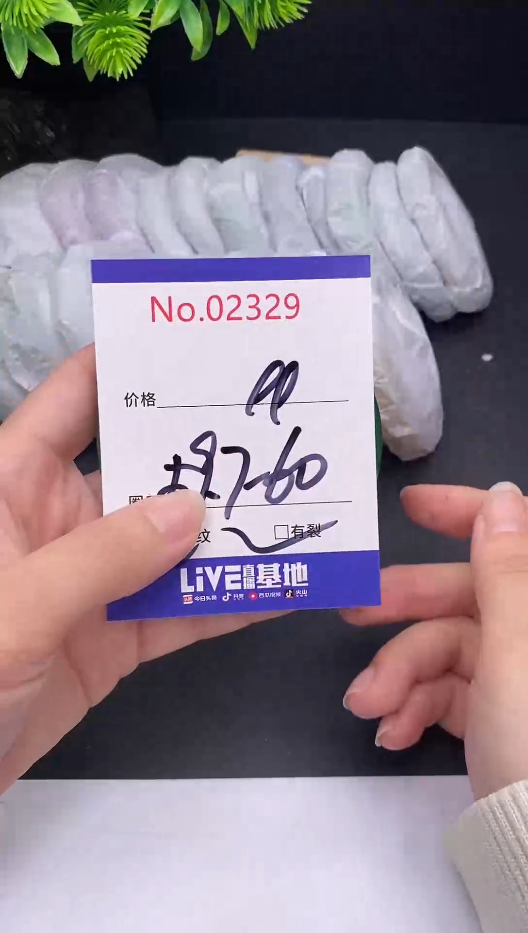 未镶嵌手镯翡翠2329