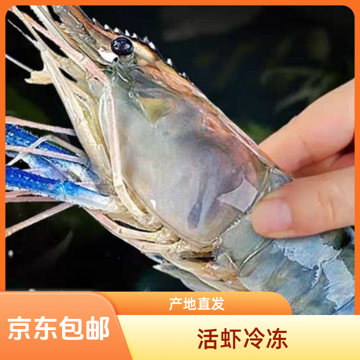 （GT软壳罗氏虾）冷冻软壳罗氏虾淡水虾小号罗氏虾冷冻