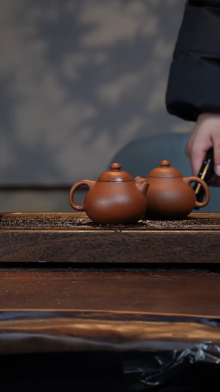 【闪购商品】紫砂茶壶开年福利文旦