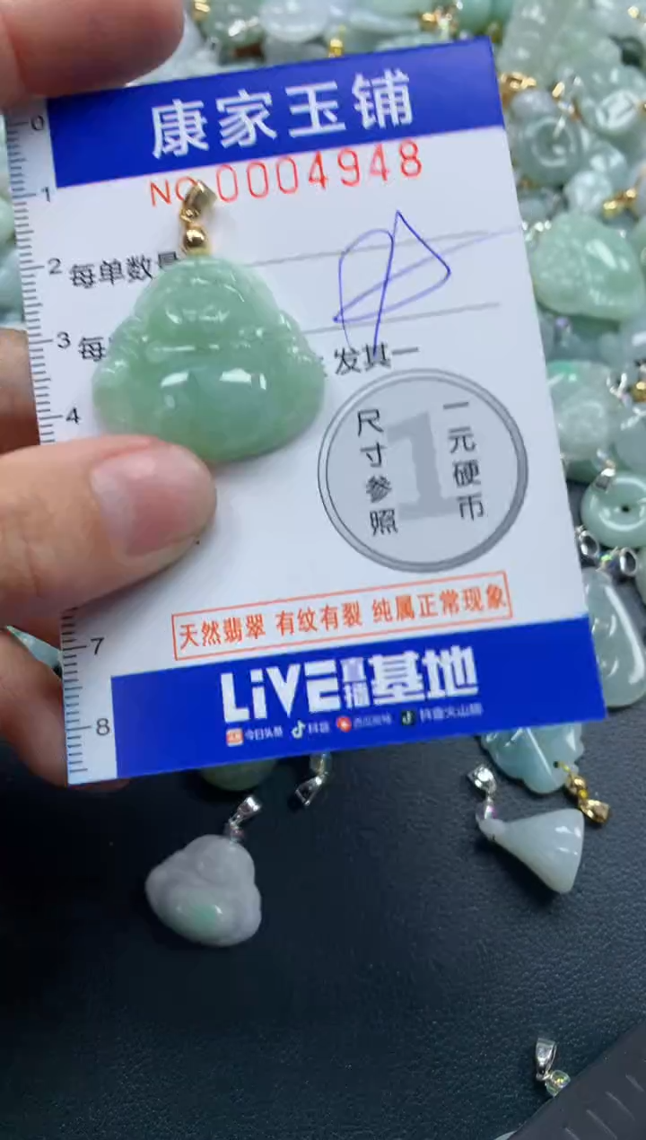 颈饰未镶嵌翡翠4948