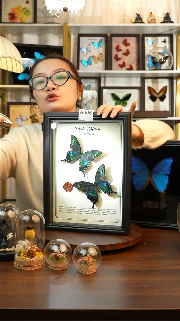 绿带翠凤蝶夏款双蝶（A4黑框）A006