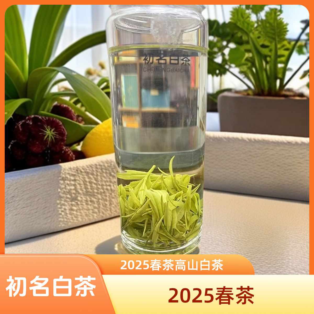 2025年春茶嫩芽绿茶[A3]高山雨前安吉白茶浓香兰花香 250克/500克