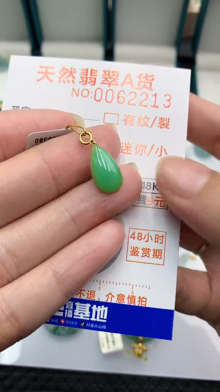 【闪购商品】翡翠颈饰18K金镶嵌            8