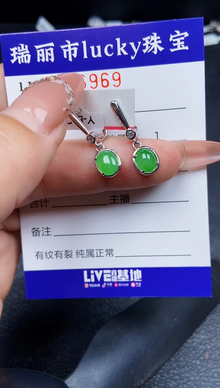 翡翠银S925镶嵌颈饰6969