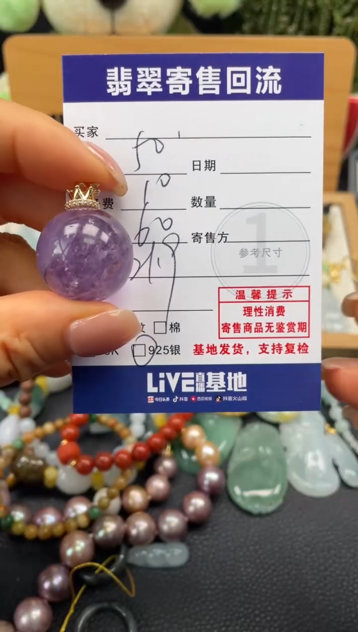 颈饰银S925镶嵌水晶10150990