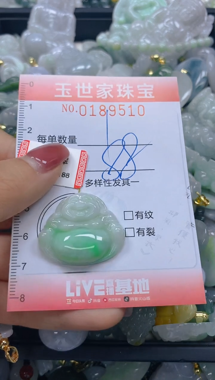 【闪购商品】翡翠颈饰未镶嵌闪购0189510