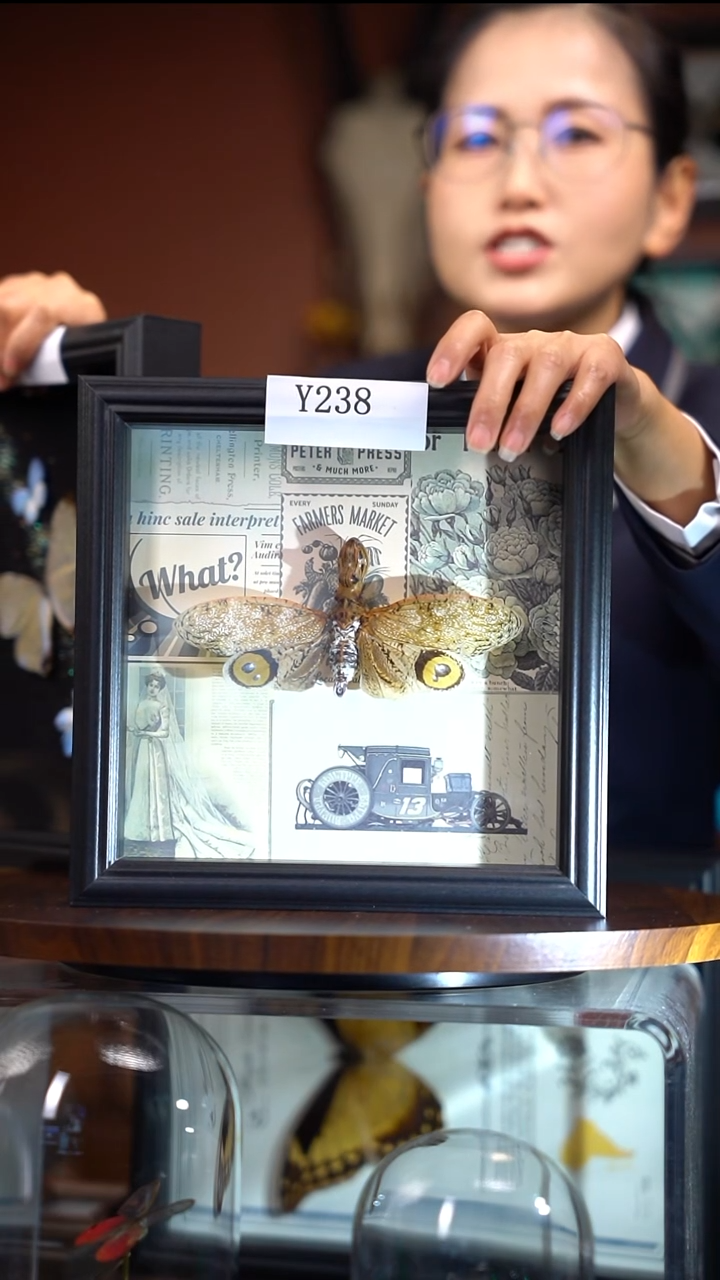 桃*Y238     提灯腊蝉