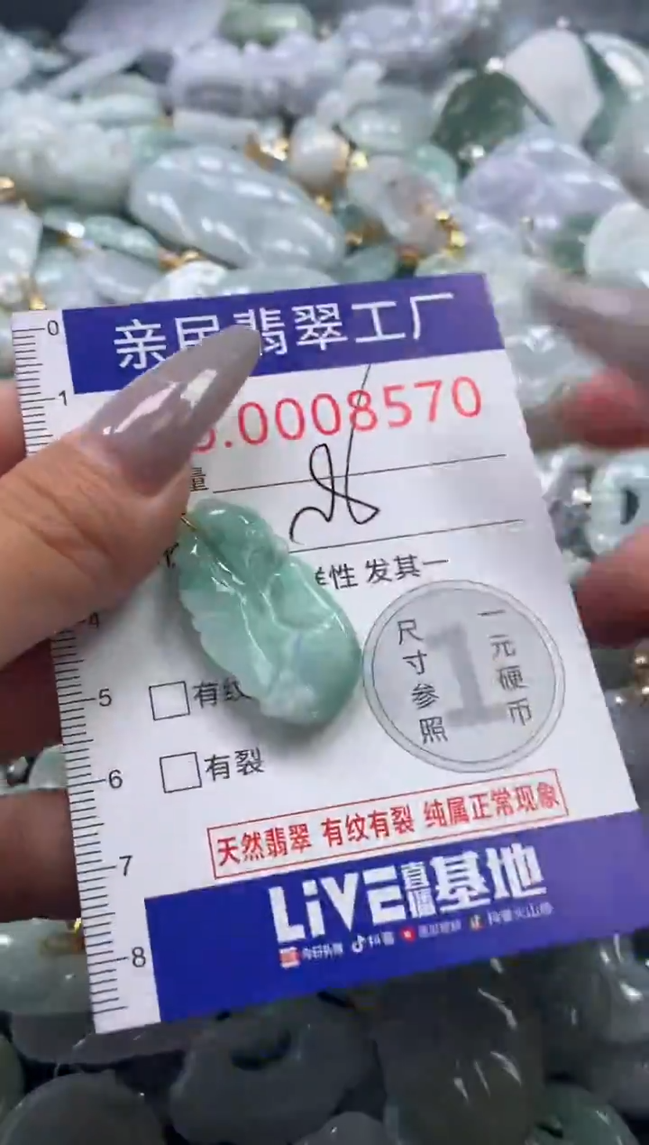 颈饰未镶嵌翡翠8570