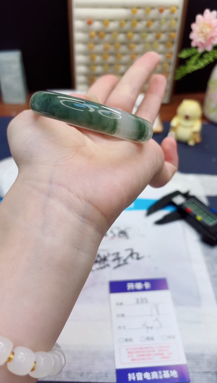 未镶嵌手镯石英质玉335-天山翠-圈口52