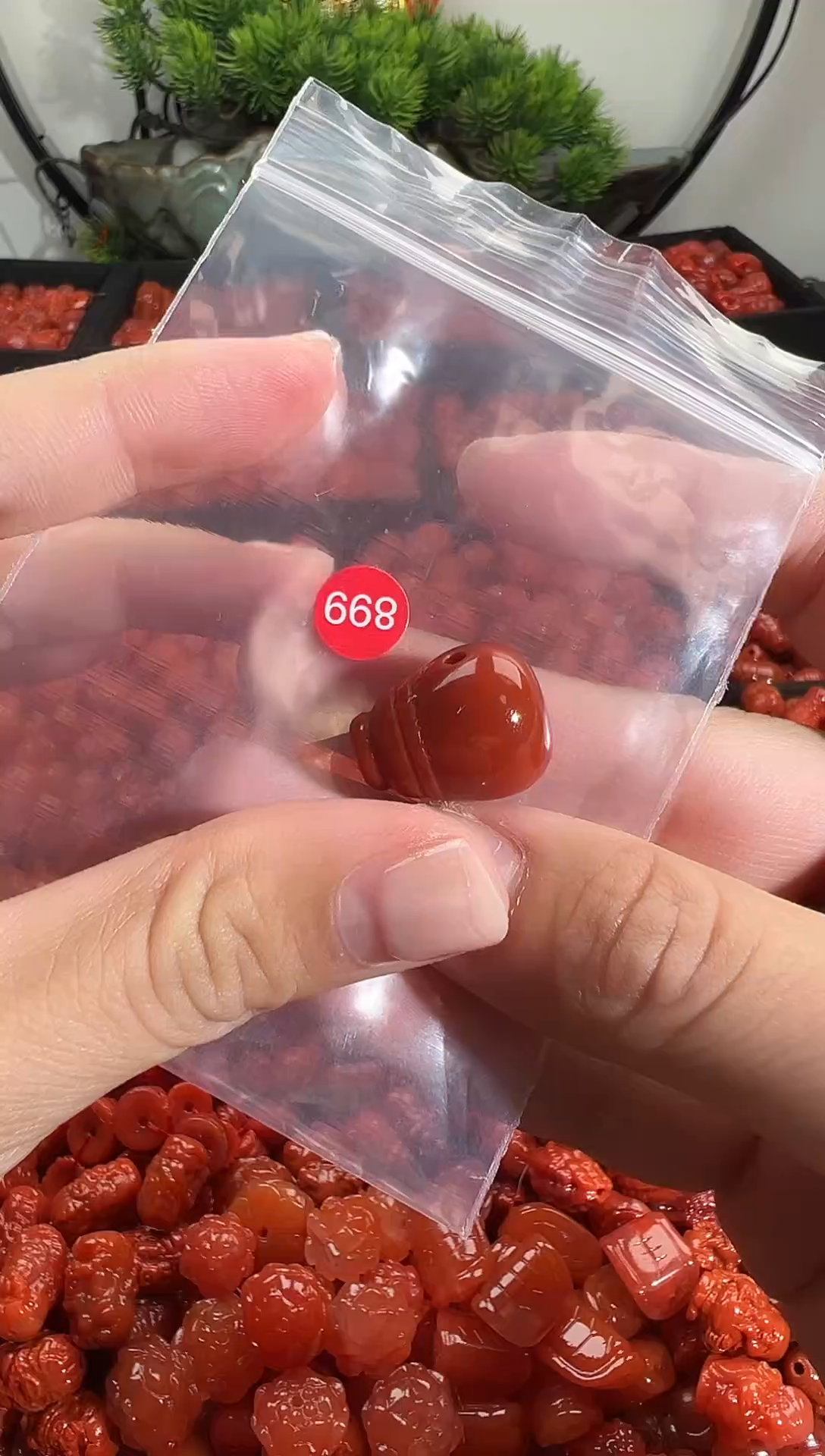 颈饰未镶嵌南红玛瑙1