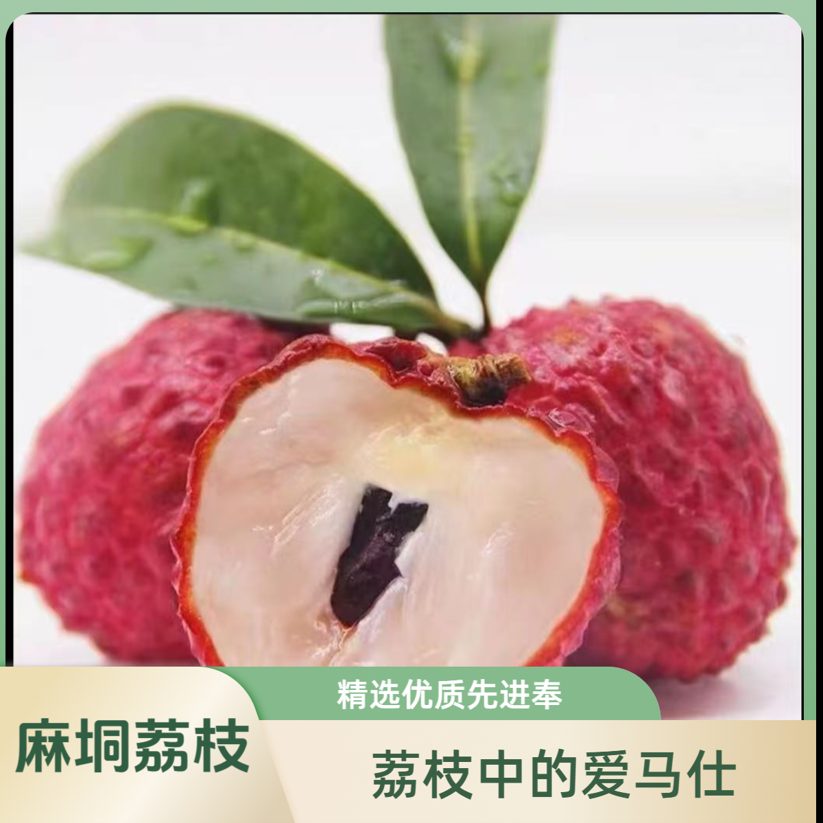 【顺丰外省】广西麻垌荔仙进奉新鲜荔枝稀有荔枝中的爱马仕应季水果