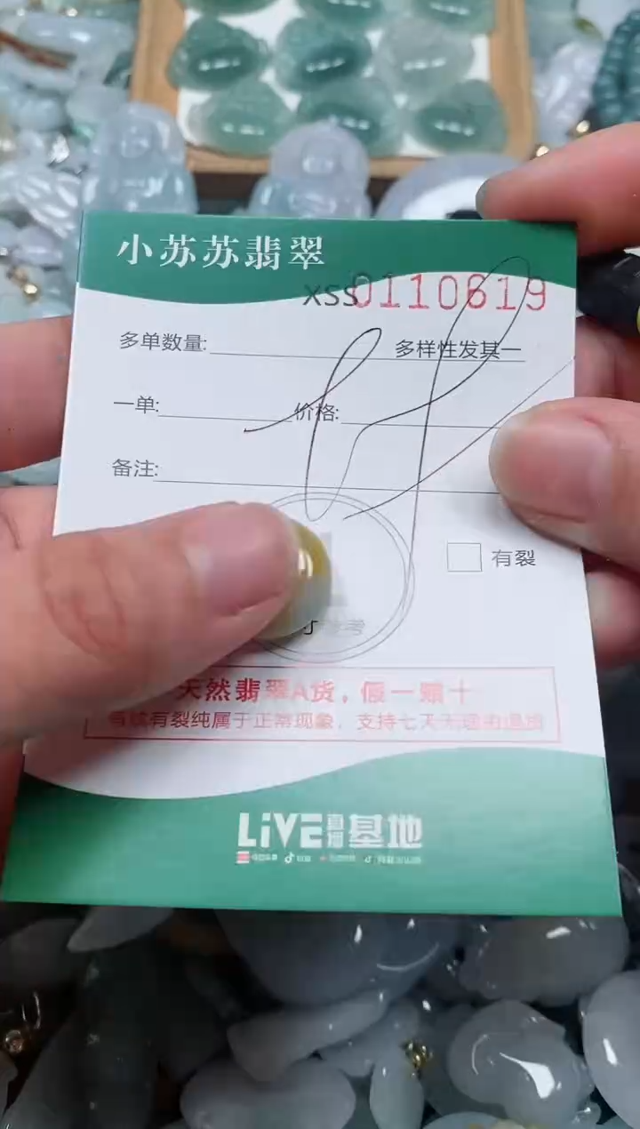 【闪购商品】翡翠颈饰未镶嵌闪购商品0110619