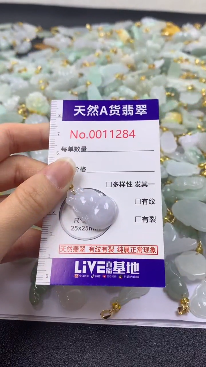 颈饰未镶嵌翡翠1