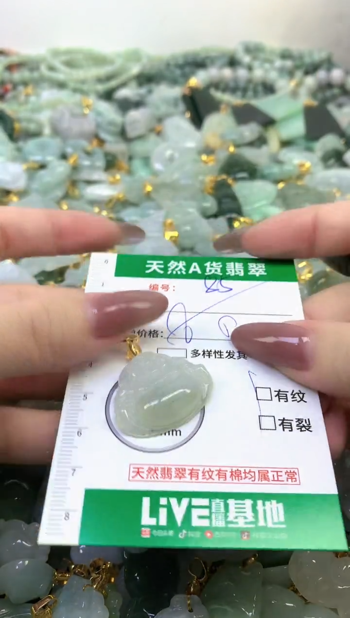 颈饰未镶嵌翡翠纯天然缅甸A货翡翠