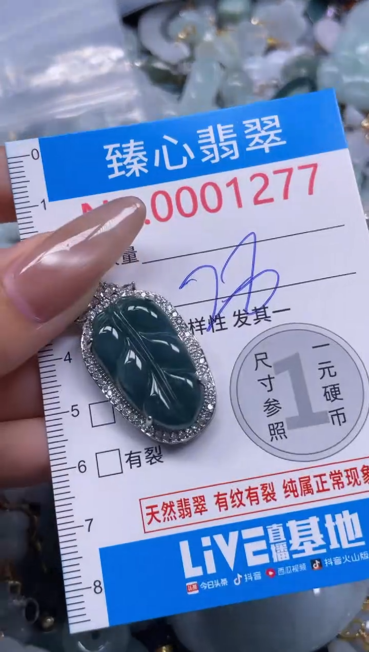 颈饰未镶嵌翡翠1277