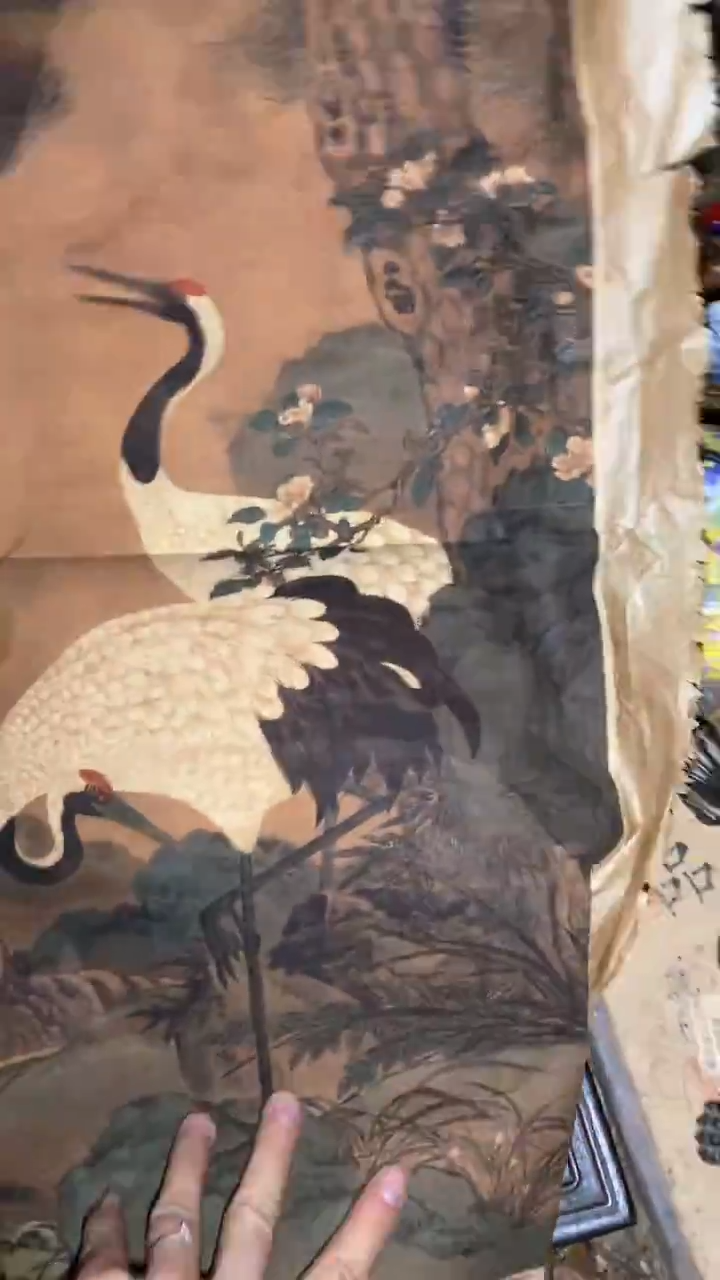 香榧木天興一一一一一福利