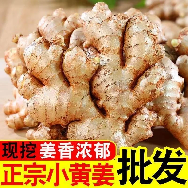 【源产地直发】正宗云南小黄姜山地种植新鲜现挖香味2025年新老姜XC