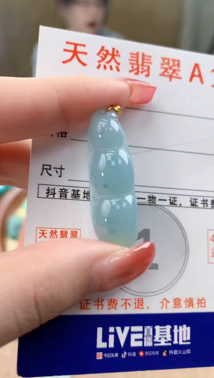 颈饰未镶嵌翡翠天然A货翡翠挂件