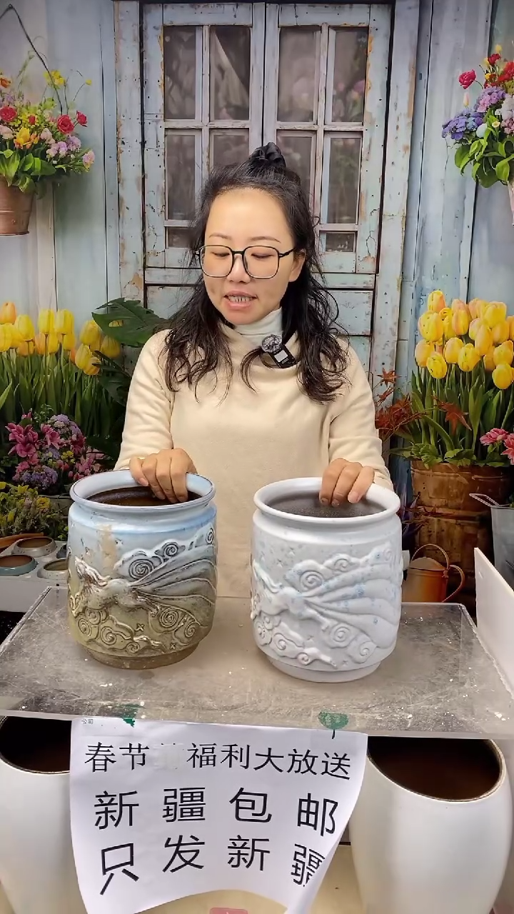 【闪购商品】红陶白蓝直口浮雕陶盆2个装