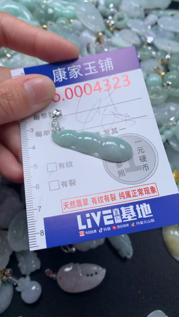 颈饰未镶嵌翡翠4323