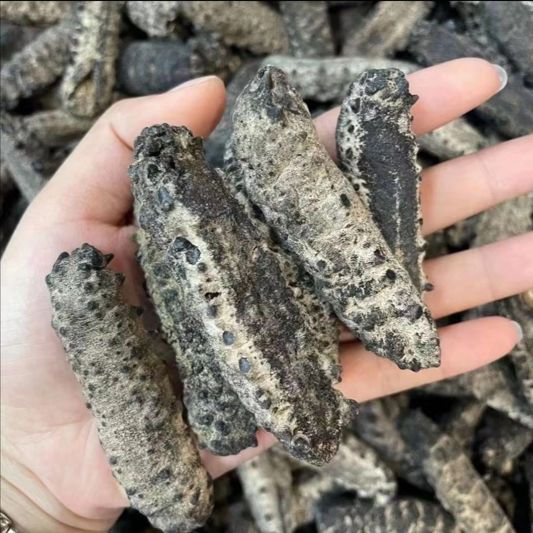 南美海参崴野生干海参高泡发率原货