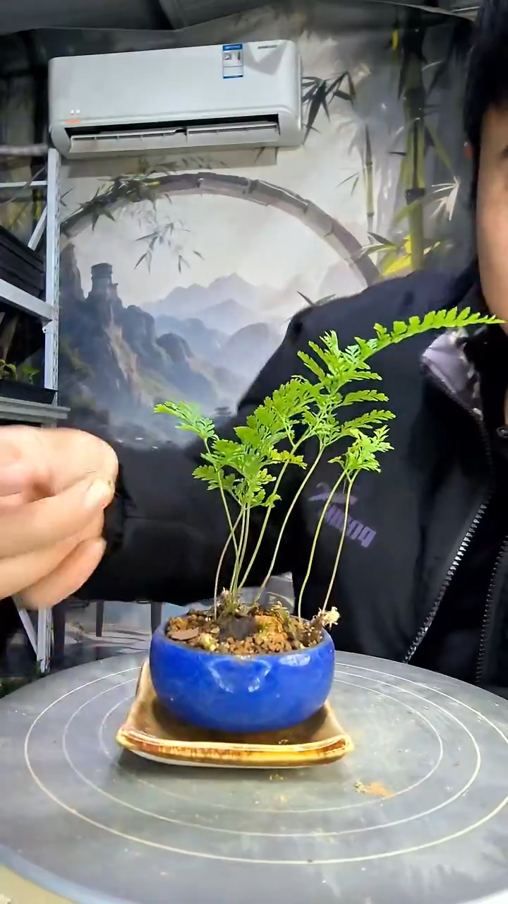 p****t中青园艺一物一拍花434