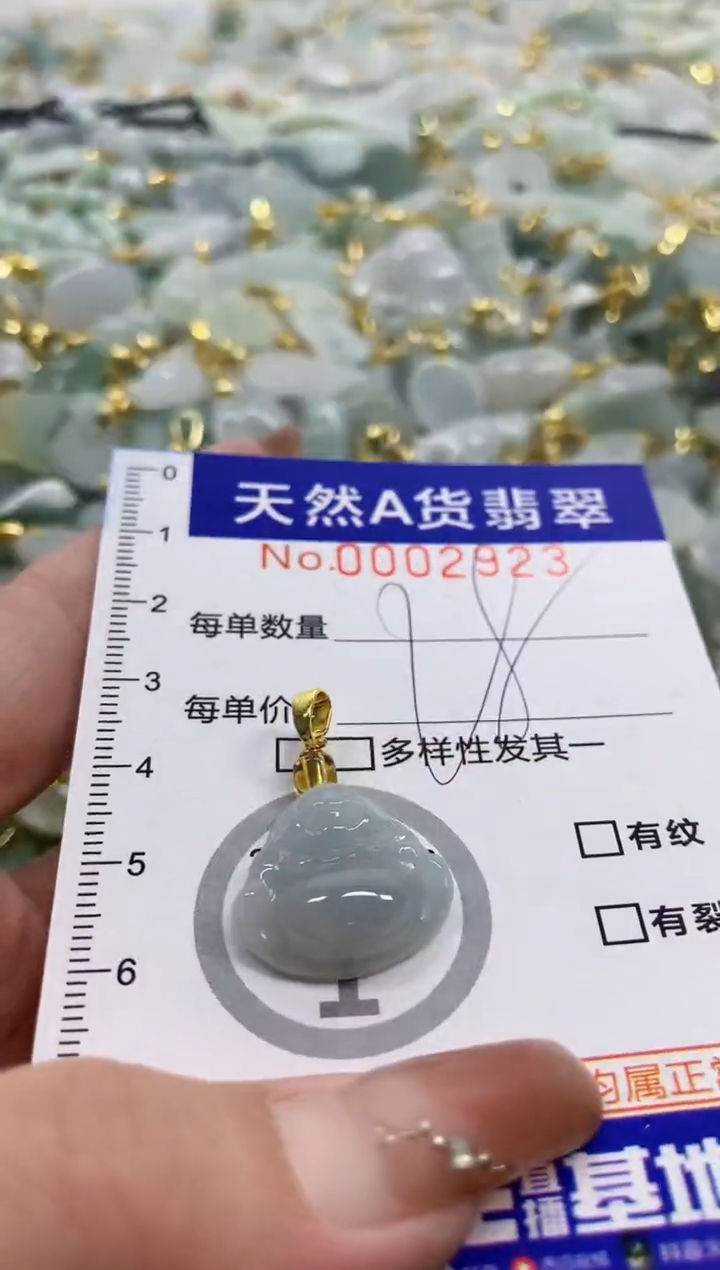 颈饰未镶嵌翡翠天然A货翡翠