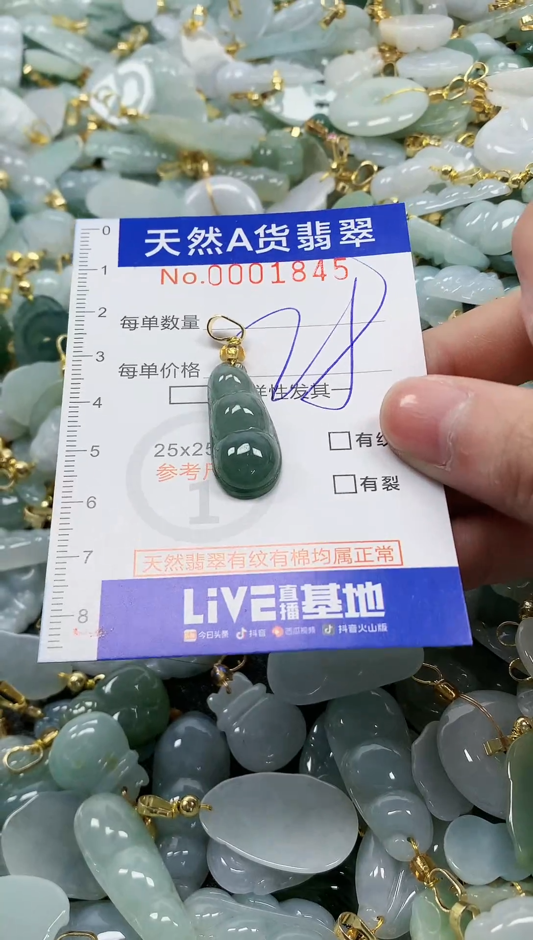 颈饰未镶嵌翡翠纯天然a货翡翠