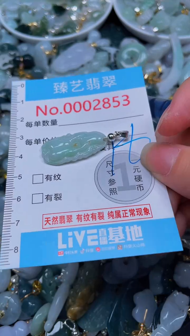 吊坠(不含链)未镶嵌翡翠2853