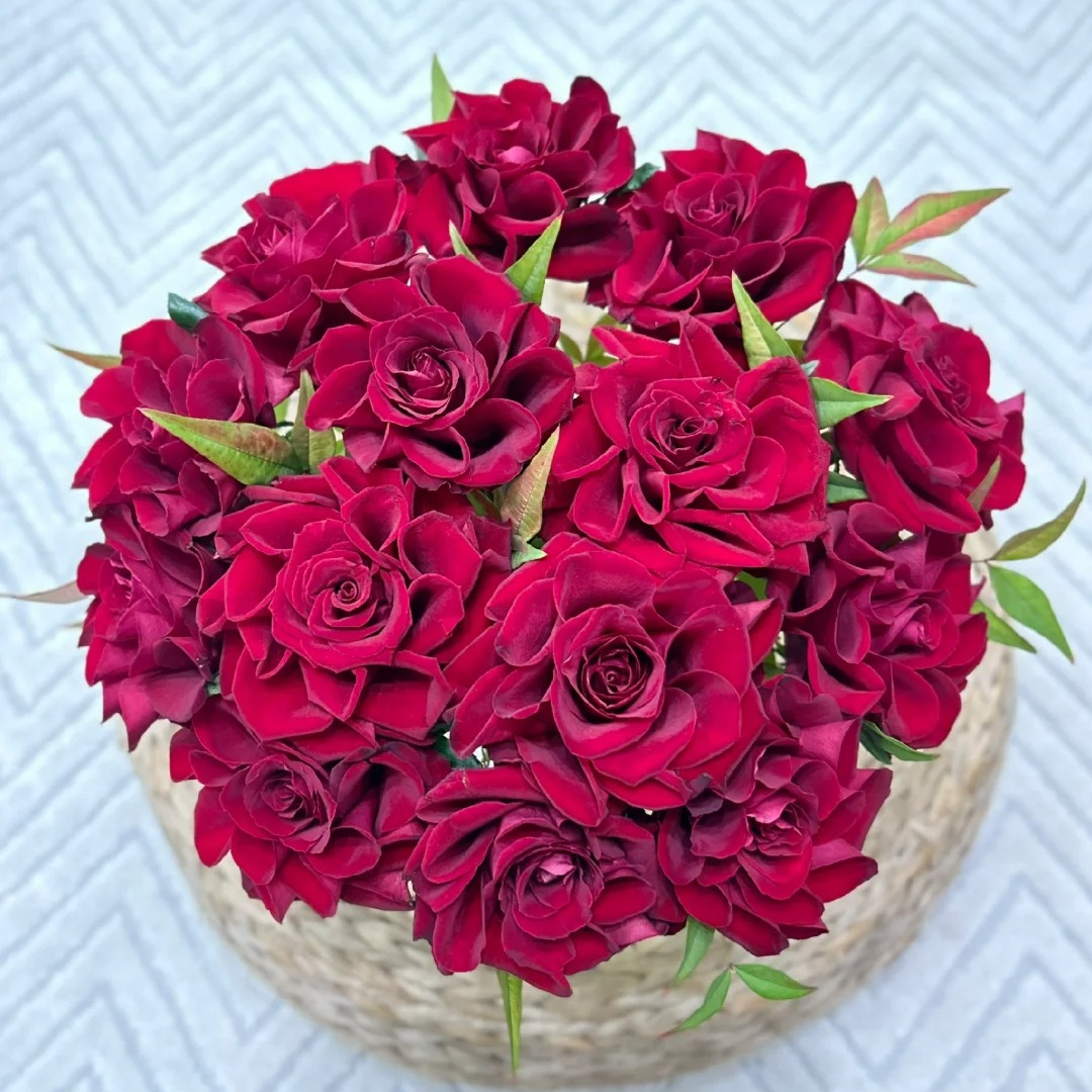 【文玖洲玫瑰】单头（红宾利）玫瑰花 云南鲜花基地直发