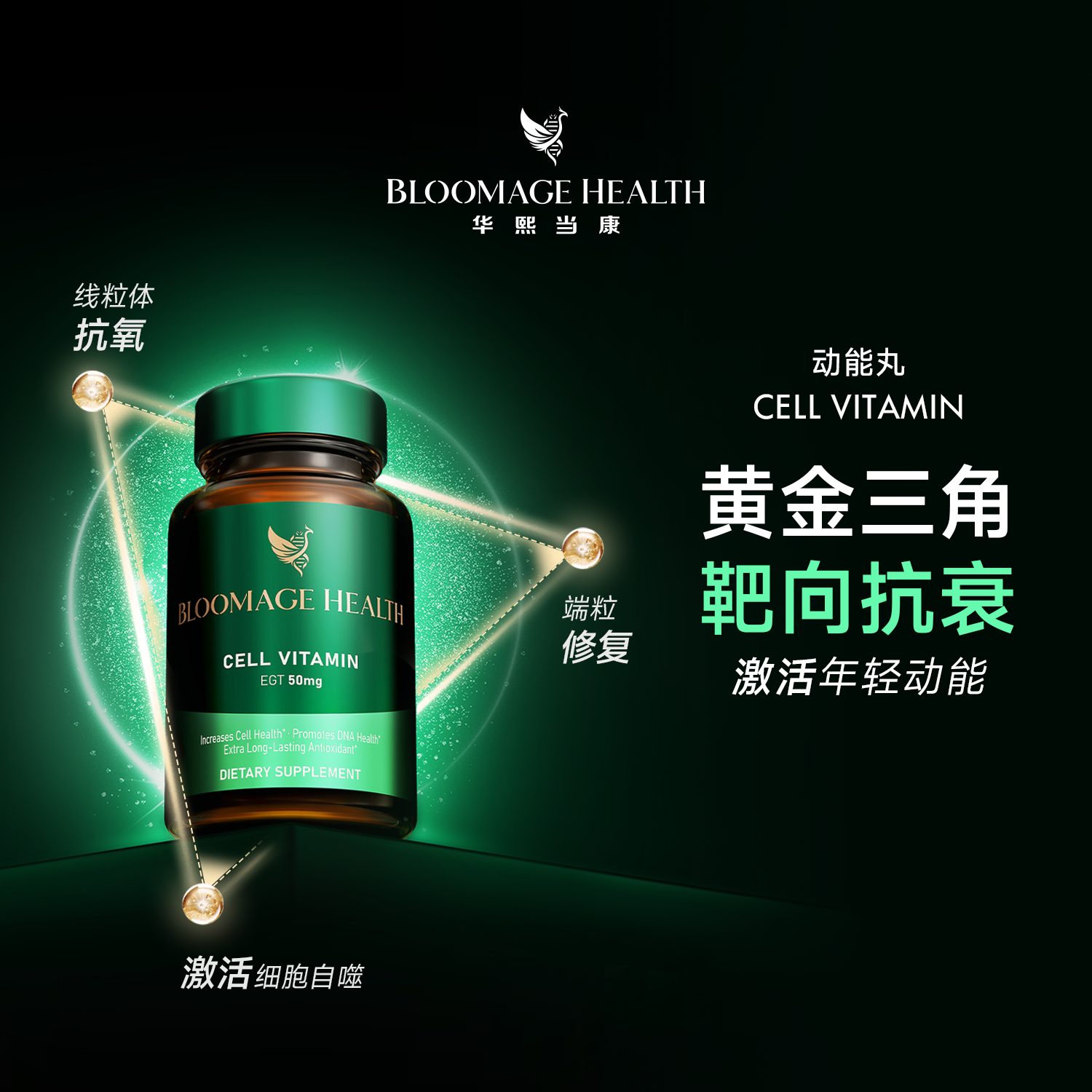 Bloomage Health30粒 每粒含高纯度麦角硫因50mg亚精胺10mg