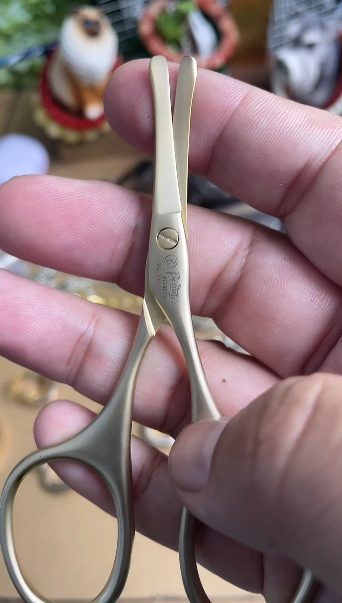 灼光杂货铺6666666666666