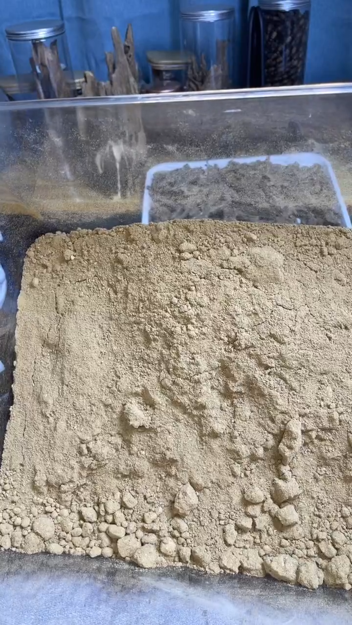 沉香沉香碎屑海南粉50克